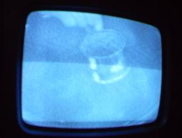 NYC Public Access Television Screenshots January 2006