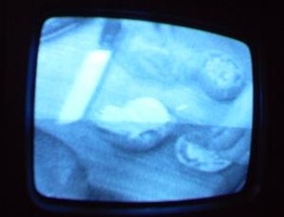 NYC Public Access Television Screenshots January 2006