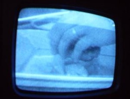 NYC Public Access Television Screenshots January 2006