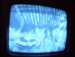 NYC Public Access Television Screenshots January 2006