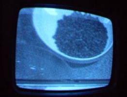 NYC Public Access Television Screenshots January 2006