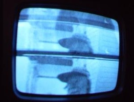 NYC Public Access Television Screenshots January 2006