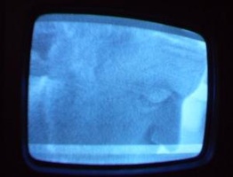 NYC Public Access Television Screenshots January 2006
