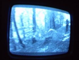 NYC Public Access Television Screenshots January 2006
