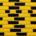 Black Yellow Black Yellow DSC09483