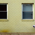 Chair in Hackensack DSC05856