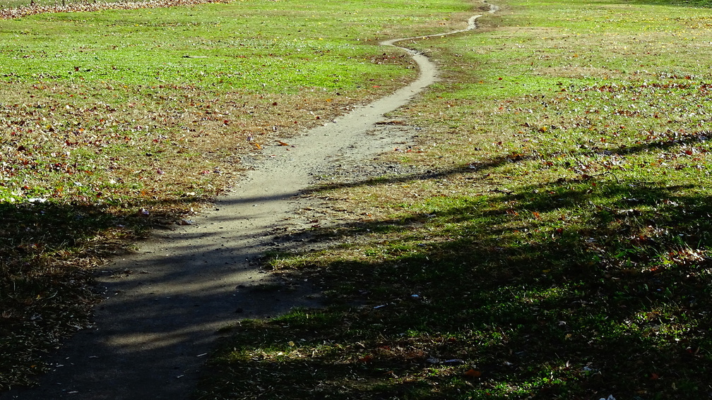 Path to Nowhere DSC05232