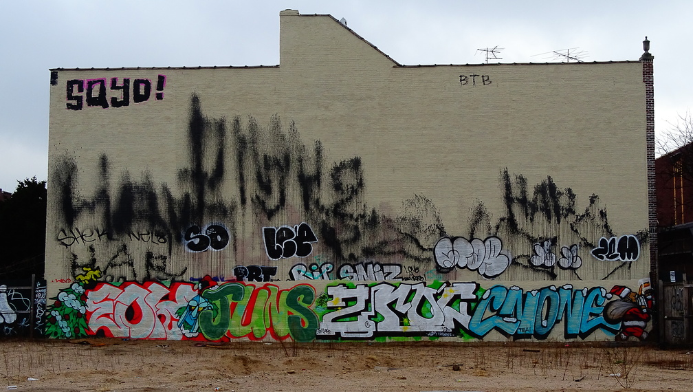 Queens Boulevard Vacant Lot DSC07247