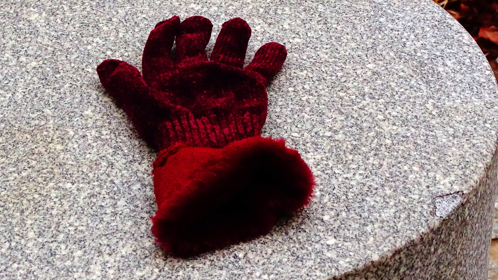 Red Glove DSC07663