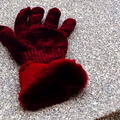 Red Glove DSC07663