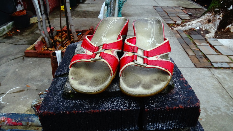 Red Sandles with Toe Imprints DSC08327