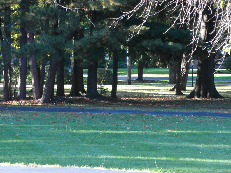 Lewiston, New York. October, 2012.