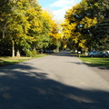 Lewiston, New York. October, 2012.