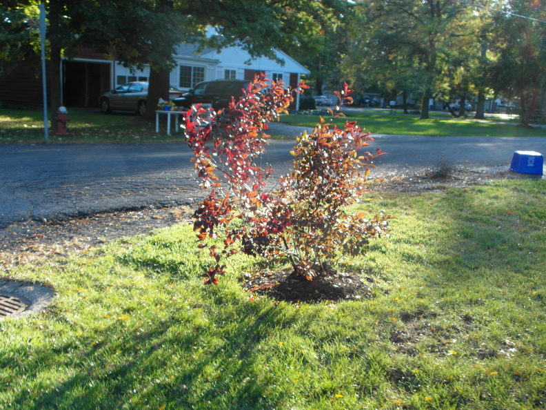 Lewiston, New York. October, 2012.