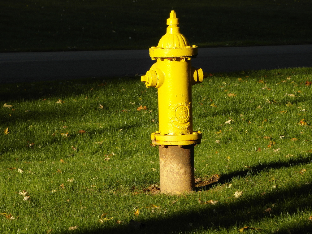 Lewiston, New York. October, 2012.