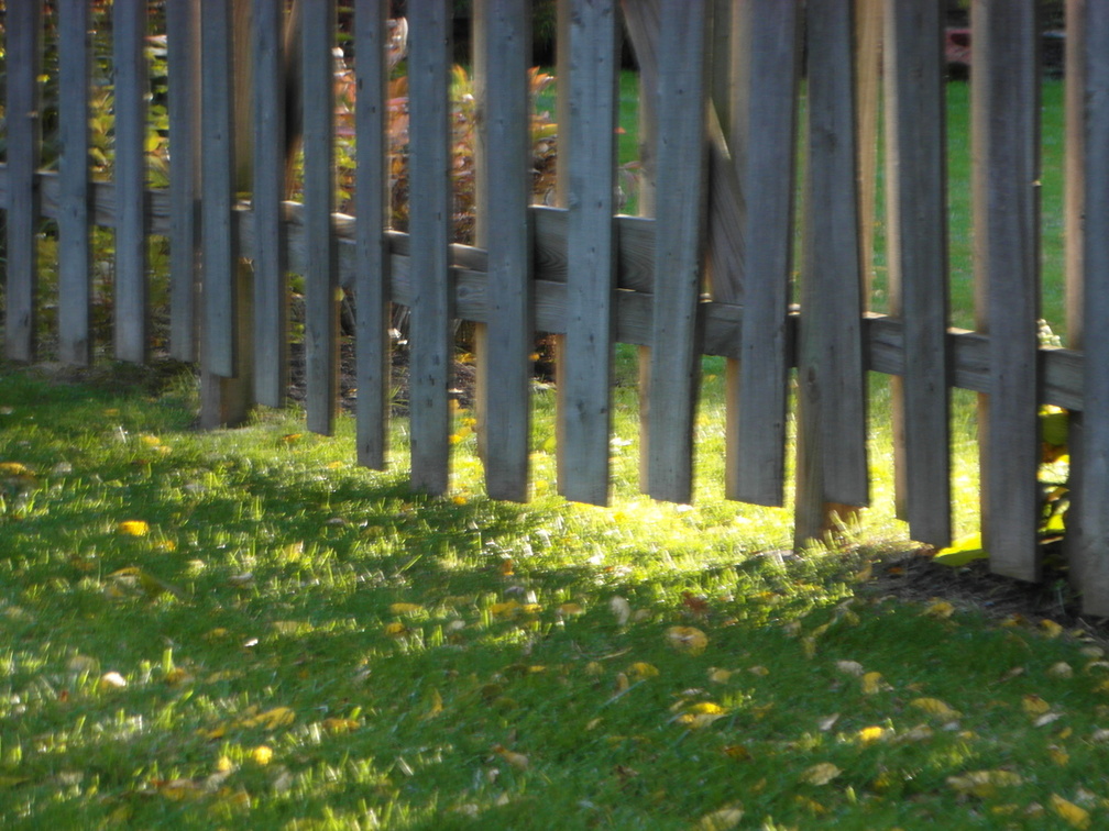 Lewiston, New York. October, 2012.