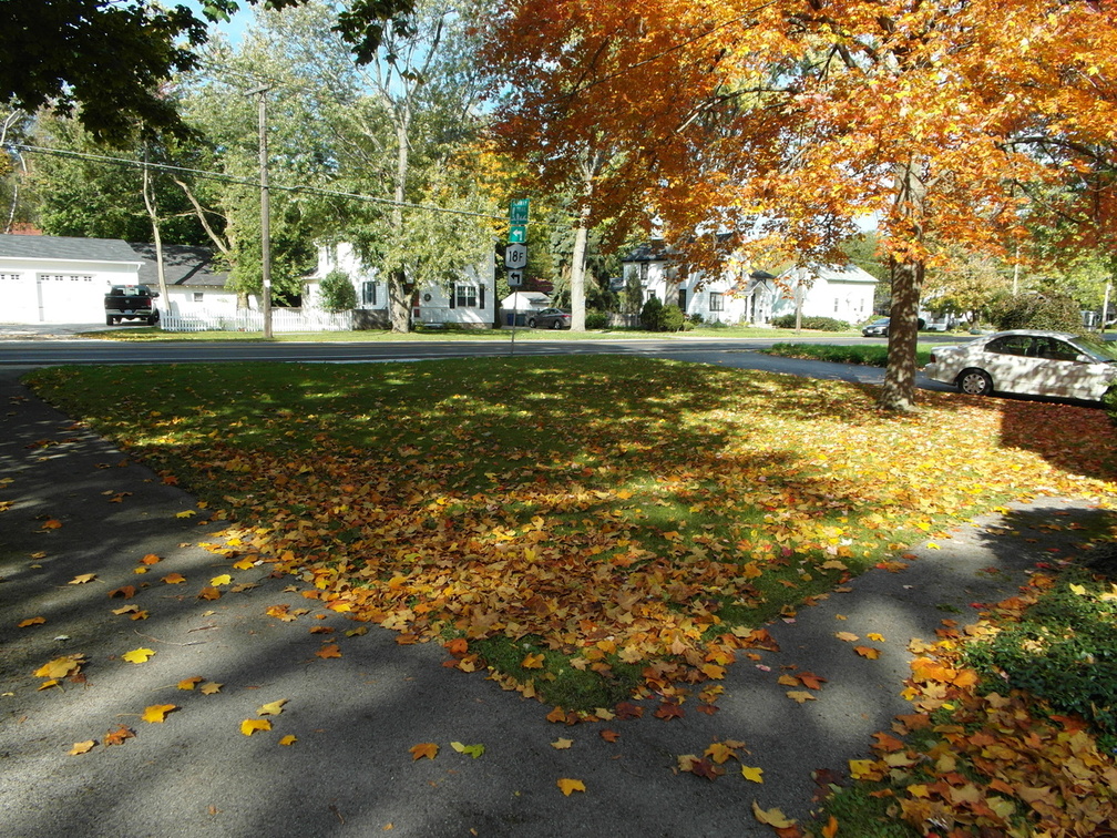 Lewiston, New York. October, 2012.