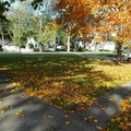 Lewiston, New York. October, 2012.