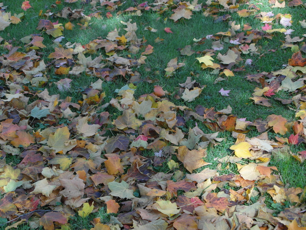 Lewiston, New York. October, 2012.