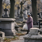 photojournalism-quality-photo-of-a-nondescript-woman-scavenging-for-food-at-a-Queens-NYC-cemetery-