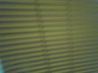 Window Shades