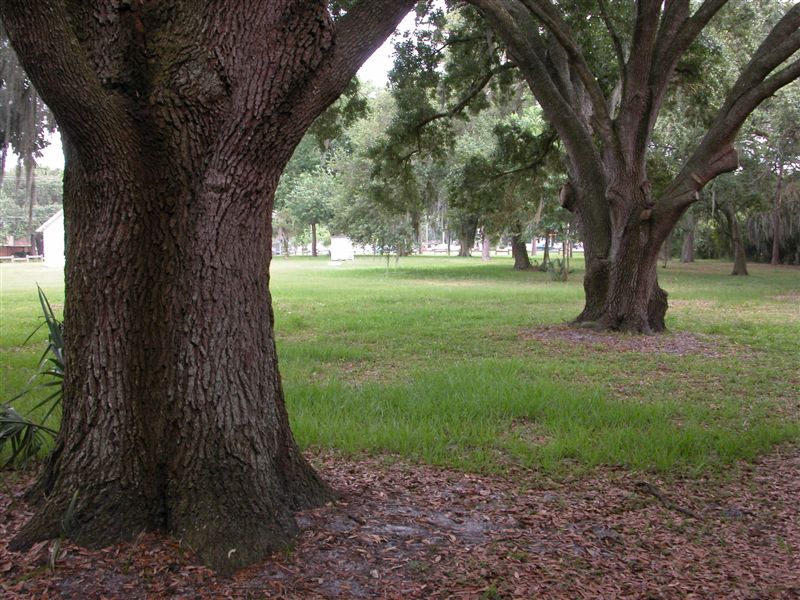 Hamner Tower Park, Tampa