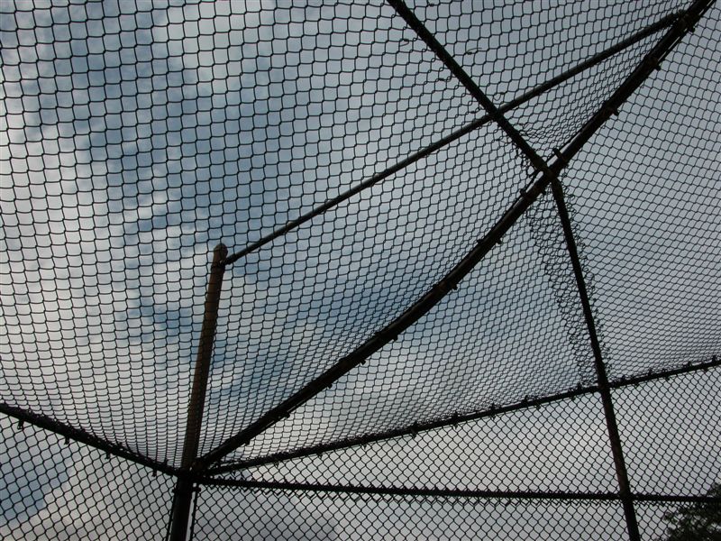 Ballfield. Rainey Park. August 11, 2003.