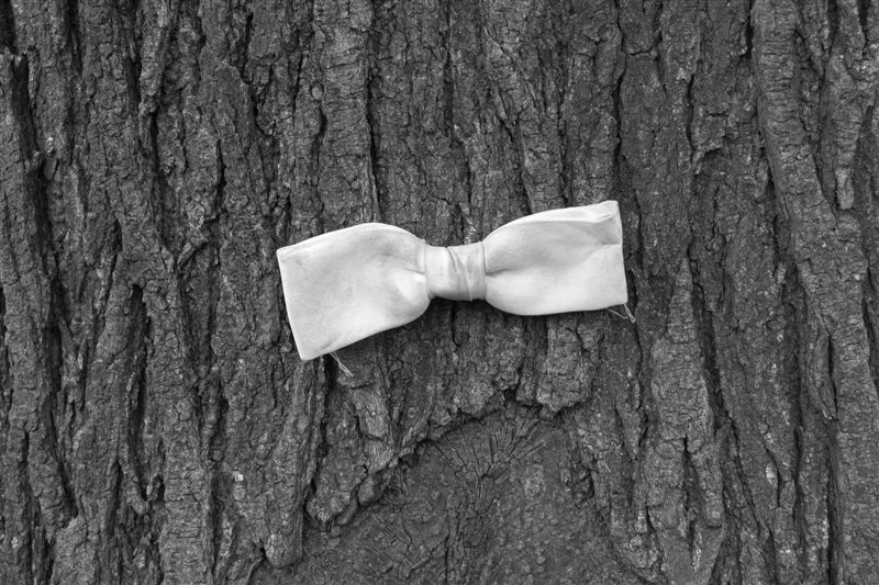 Bowtie on a Tree at Rainey Park, Long Island City. October 16, 2003