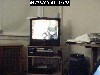208.jpg