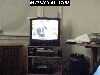 211.jpg