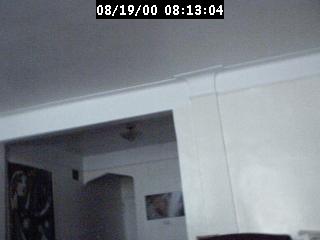 2000081305.jpg