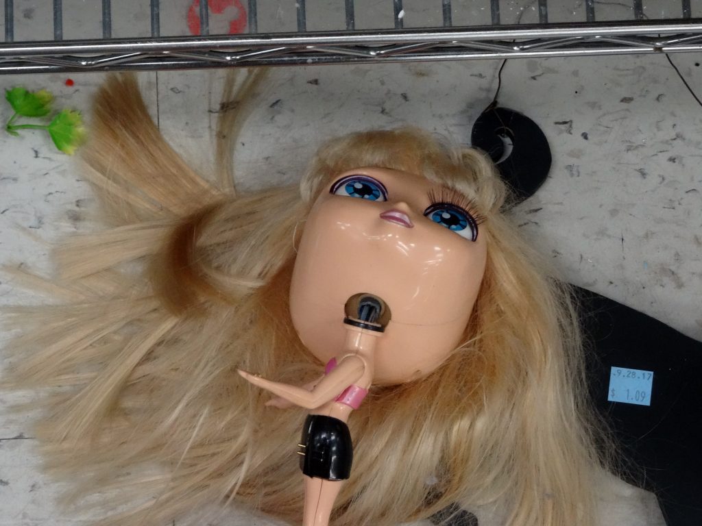 Decapitated Doll at a Goodwill Store, Journal Square