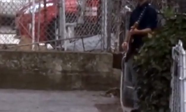 Guitarist Tearing It Up On His Driveway During Corona Lockdown