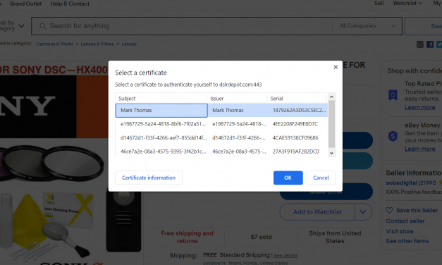 Select a certificate to view an eBay listing? Ummmm. dsldepot.com port #443?