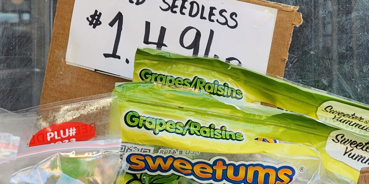Seedless Greed